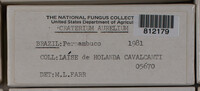 Craterium aureum image